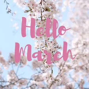 Hello March Cherry Blossom Tree Wallpaper
