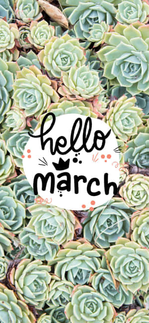 Hello March Collective Succulent Plant Wallpaper