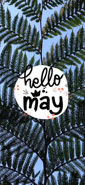 Hello May Fern Backdrop Wallpaper