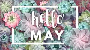 Hello May Floral Desktop Background Wallpaper