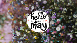 Hello May Floral Greeting Wallpaper