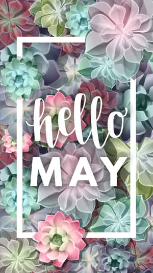 Hello May Floral Greeting Wallpaper