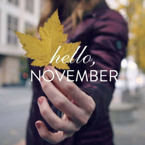 Hello November Wallpaper