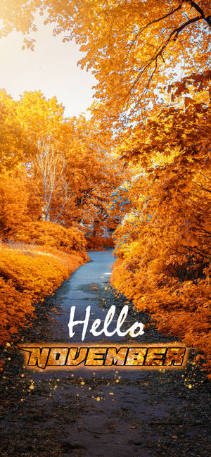 Hello November Yellow Garden Path Wallpaper