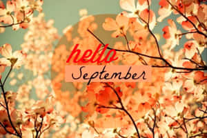 Hello September Autumn Leaves Wallpaper