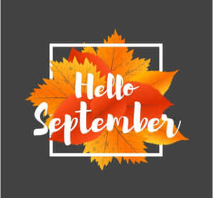 Hello September Autumn Leaves Graphic Wallpaper