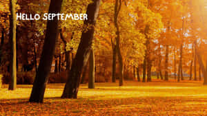 Hello September Autumn Park Scene Wallpaper