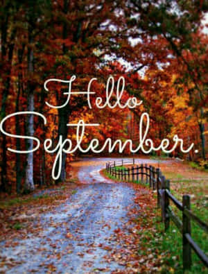 Hello September Greeting With Autumn Leaves On Road Wallpaper