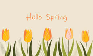 Hello Spring Floral Greeting Wallpaper