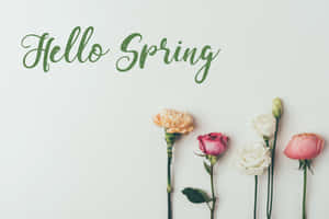 Hello Spring Floral Greeting Wallpaper