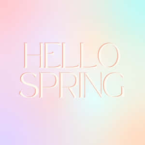 Hello Spring Pastel Rainbow Backdrop Wallpaper
