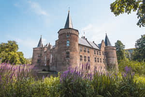 Helmond Castle Summer View Wallpaper