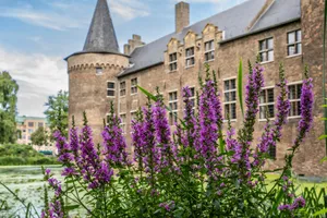 Helmond Castle Towerand Gardens Wallpaper