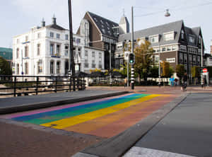 Helmond Rainbow Crosswalk Netherlands Wallpaper