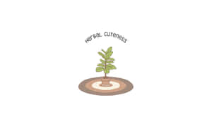 Herbal Cute Plant Minimalist Wallpaper