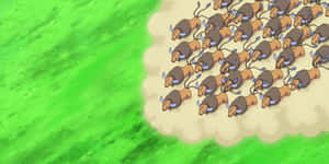 Herd Of Tauros Wallpaper
