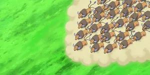 Herd Of Tauros Wallpaper