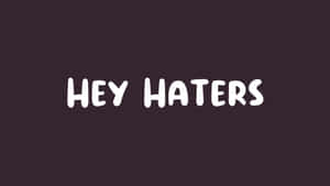 Hey Haters Bold Statement Wallpaper