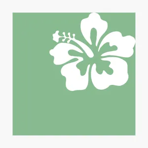 Hibiscus Flower Graphic Wallpaper