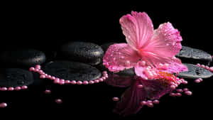 Hibiscus Reflection Spa Concept Wallpaper