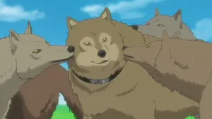 Hige From Wolf's Rain Strolls Confidently Through The Forest Wallpaper