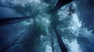 High-definition Dolby Atmos Wallpaper Wallpaper