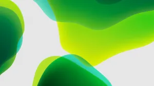 High-quality Green Color Wallpaper