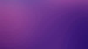 High-quality, Vibrant Purple Paper Wallpaper