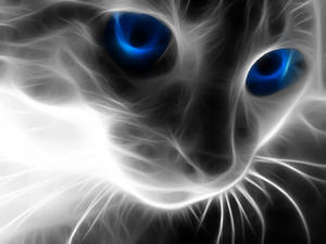 High Resolution Desktop Cat Digital Art Wallpaper