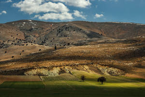 High Resolution Desktop Green Grassland Wallpaper