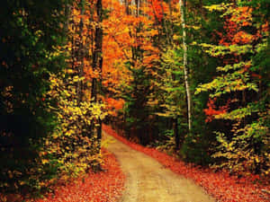High Resolution Fall Country Road Wallpaper