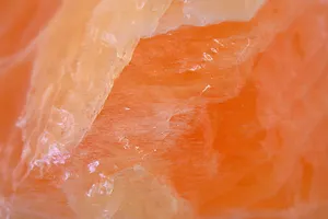 High Resolution Nature Photoshoot Wallpaper