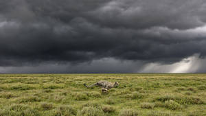 High Resolution Storm Clouds Field Wallpaper