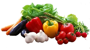 High-tech Vegetable Production Wallpaper