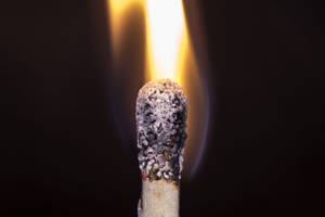 High Temperature Burnt Matchstick Wallpaper