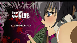 Highschool Of The Dead Busujima Saeko Wallpaper