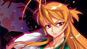 Highschool Of The Dead Fierce Miiyamoto Wallpaper