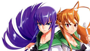 Highschool Of The Dead Saeko Rei Wallpaper