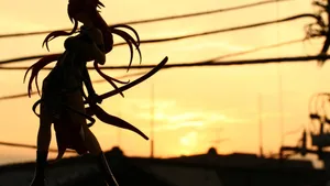 Highschool Of The Dead Saeko Silhouette Wallpaper