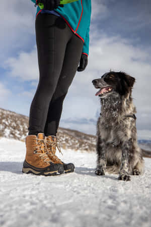 Hiker Admiring Snowy Mountain View In Winter Wallpaper