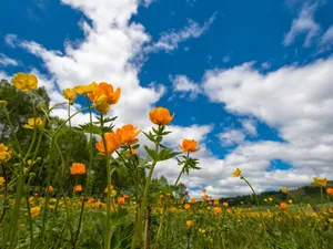 Hiker Enjoying The Majestic Mountain View Wallpaper