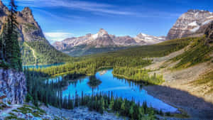 Hiking Through Rocky Mountains Of Colorado Wallpaper