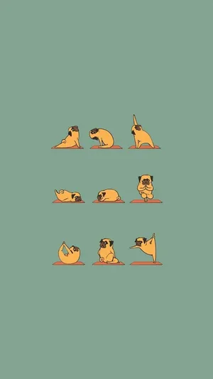 Hilarious Dog Doing Yoga Wallpaper