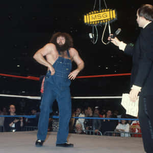 Hillbilly Jim Wrestling Interview M S G Wallpaper