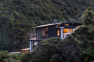 Hillside_ Home_in_ Lower_ Hutt_ New_ Zealand Wallpaper