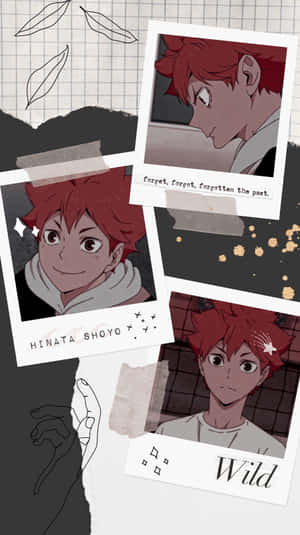 Hinata Shoyo Collage Aesthetic Wallpaper Wallpaper