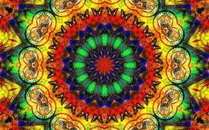 Hippie Kaleidoscope Design Tiger And Butterfly Wallpaper