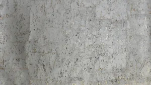 Historic Cork Wall Texture Wallpaper