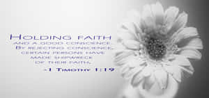 Holding Faith Bible Verse1 Timothy119 Wallpaper