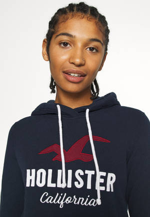 Hollister Red Seagull Logo Wallpaper